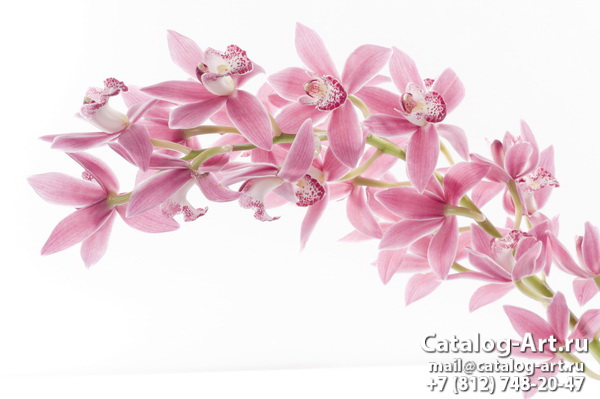 Натяжные потолки с фотопечатью - Розовые орхидеи 30